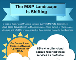 msp landscape,asigra